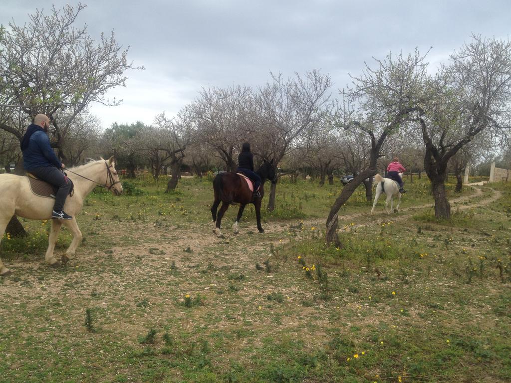 Vila Agriturismo Vita E Natura Noto Exteriér fotografie