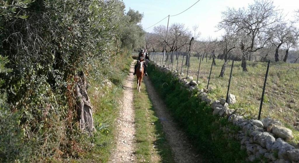 Vila Agriturismo Vita E Natura Noto Exteriér fotografie